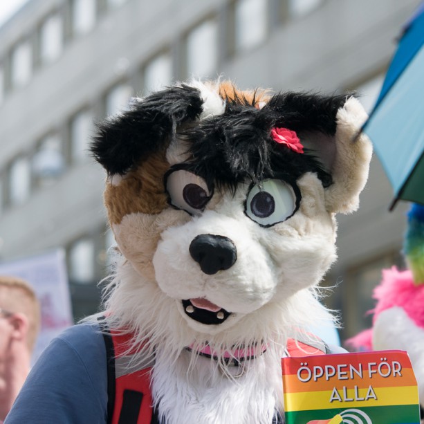 malmo_pride_2015-003